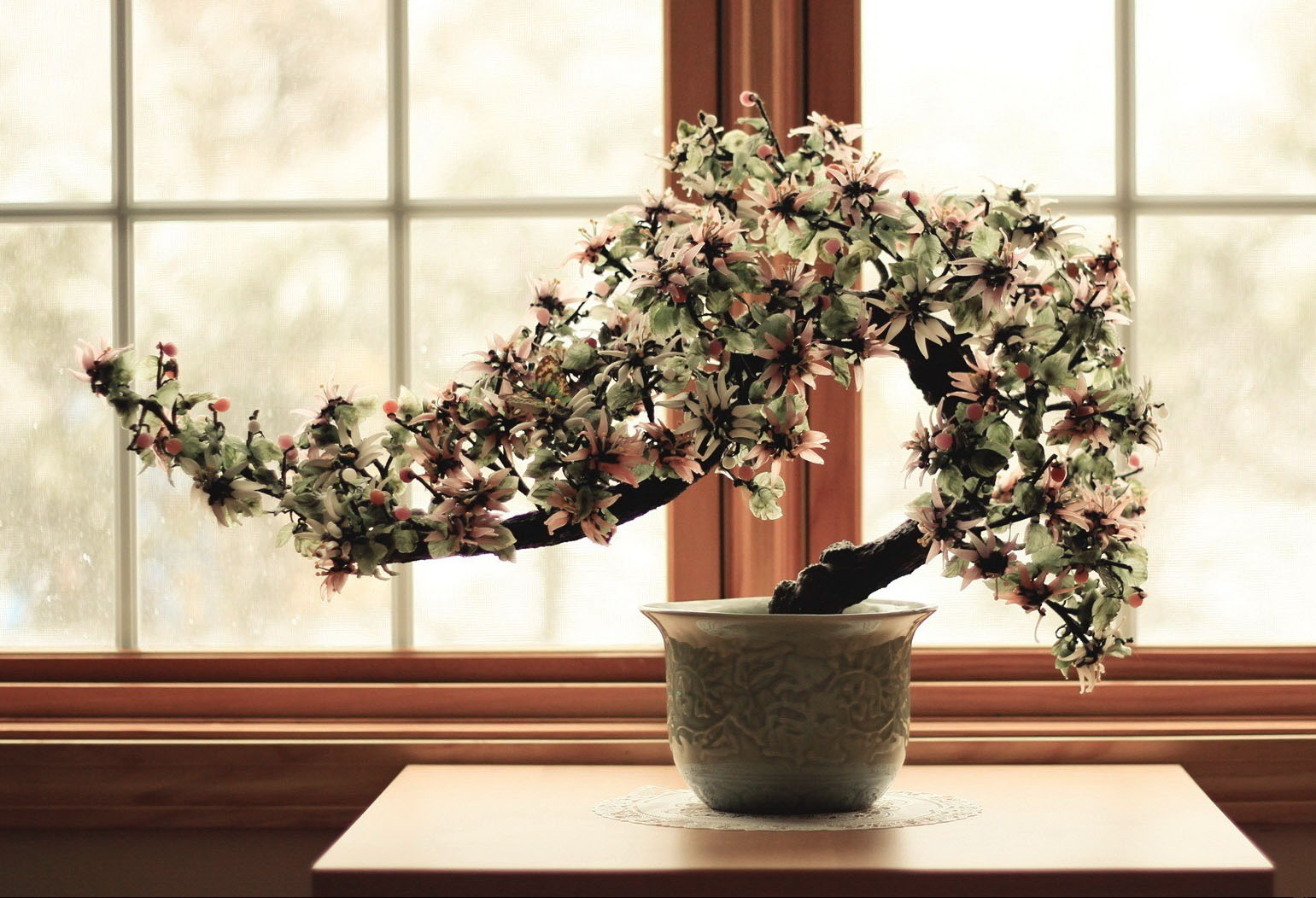 Il vaso per il tuo bonsai: un elemento di arredo da scegliere con cura -  iBonsai