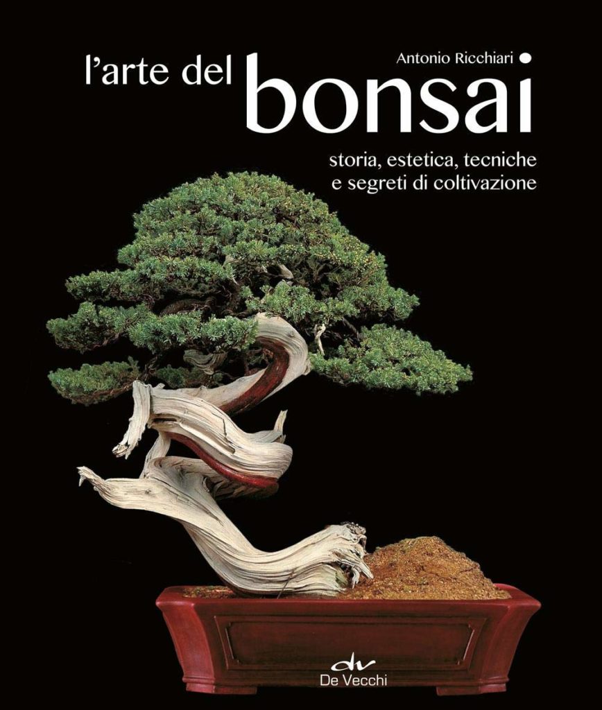 Kit bonsai per principianti per imparare a coltivare iBonsai